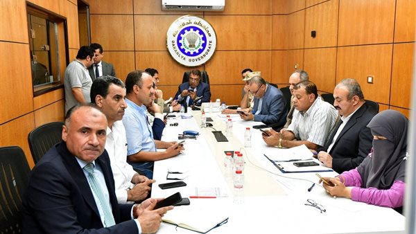 محافظ الدقهلية يتابع