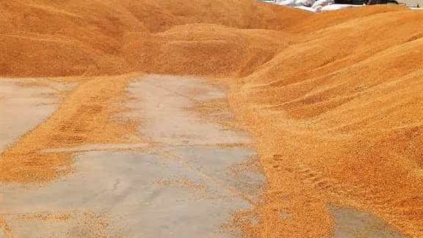 اقماح سوهاج