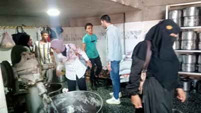 تحرير 109 مخالفات وضبط 185 كيلو لحوم ودواجن مجهولة المصدر بالدقهلية