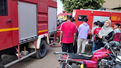 نفوق 4 رؤوس ماشية في حريق حظيرة بقرية كفر الباجور بالمنوفية