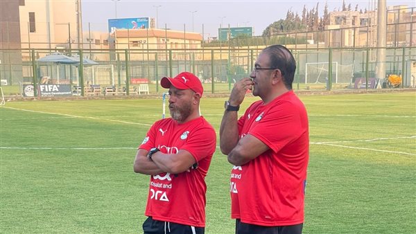 وائل رياض المدير