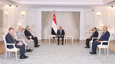 الرئيس السيسي يستقبل هاكان فيدان وزير خارجية تركيا