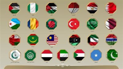 مصر و24 دولة ومنظمة ترفض إعلان إسرائيل نيّتها فرض السيطرة العسكرية الكاملة على قطاع غزة