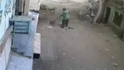 حزب مستقبل وطن يمنح أسرة عامل النظافة المتوفى بالشرقية 50 ألف جنيه وعمرة لزوجته ويتكفل بمصاريف العزاء