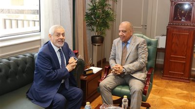 الكهرباء: إنشاء محطتين منفصلتين لتخزين الطاقة بقدرة 1500 ميجاوات/ ساعة في محافظتي أسوان والبحر الأحمر