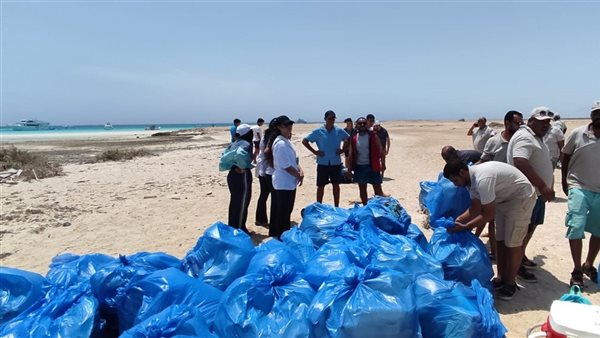 جزيرة أبو منقار