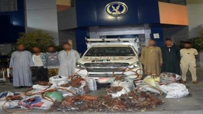 القبض على عصابة استولت على سيارة خردة محملة بنحاس في صحراوي الجيزة