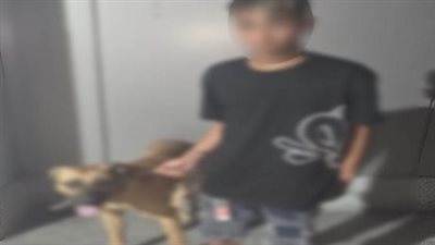 القبض على متهم روع فتيات بكلب وتعدى عليهن لفظيا بالجيزة