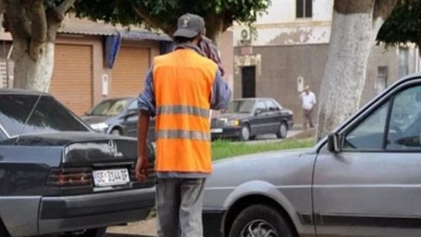 سايس-أرشيفية