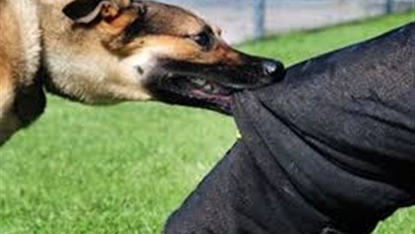 Sorry! Image not available at this time