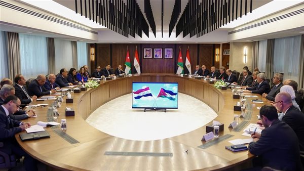 اجتماعات الخبراء