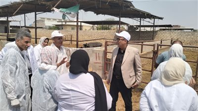 الزراعة: رصد عترة جديدة من فيروس الحمى القلاعية في دول الجوار.. وبدء حملات التحصين بمصر