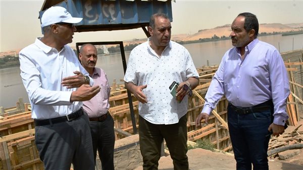 محافظ أسوان