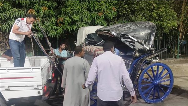 رفع عربات الحنطور