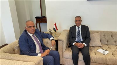 الخارجية والري: نؤكد رفض مصر التام للإجراءات الأحادية المخالفة للقانون الدولي في حوض النيل الشرقي