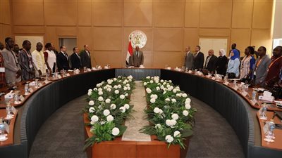 الكهرباء: تعزيز التعاون مع الدول الإفريقية.. واستمرار البرامج التدريبية لنقل الخبرات وبناء القدرات