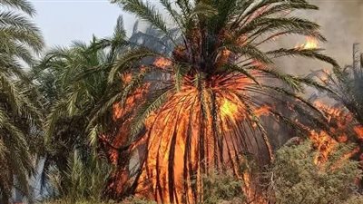 السيطرة على حريق بقرية البشندي في الوادي الجديد دون خسائر بشرية