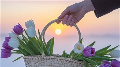 صور ورد طبيعية ملونة.. أكثر من 50 صورة بألوان ودلالات متنوعة