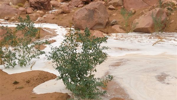 سيول وادي الأربعين