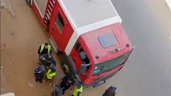 إنقاذ قطة في السويس