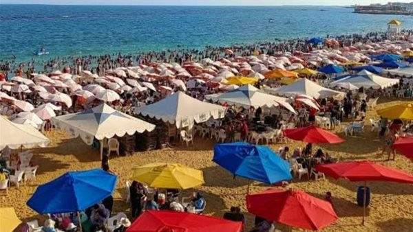 شواطئ الإسكندرية