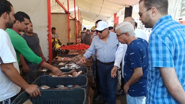 محافظ الدقهلية 