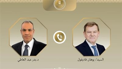  وزير الخارجية لنظيره الألماني: من الضروري تحرك الاتحاد الأوروبي لوضع حد للتصعيد الإسرائيلي