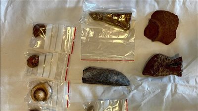 خرجت من مصر بطريقة غير شرعية.. أين تعرض القطع الأثرية المستردة من هولندا؟ | مصدر يجيب 