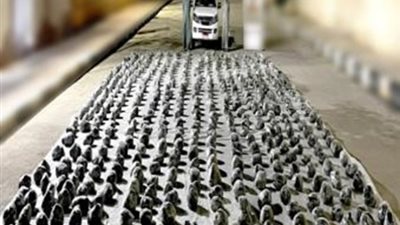 ضبط سلامة الطفشان لاتهامه بالإتجار في المواد المخدرة بدكرنس في الدقهلية