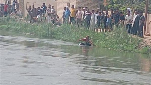 عمليات البحث