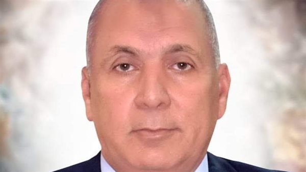 محافظ الوادي الجديد