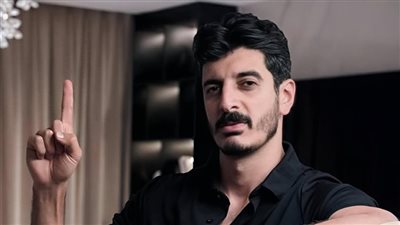 الجنايات تؤيد قرار التحفظ على أموال سوزي الأردنية وشاكر ومحمد عبد العاطي