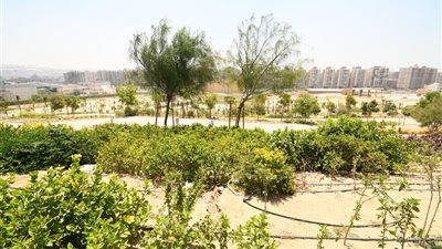 صندوق التنمية الحضرية يحسم عروض إدارة وتشغيل حديقة تلال الفسطاط خلال أيام