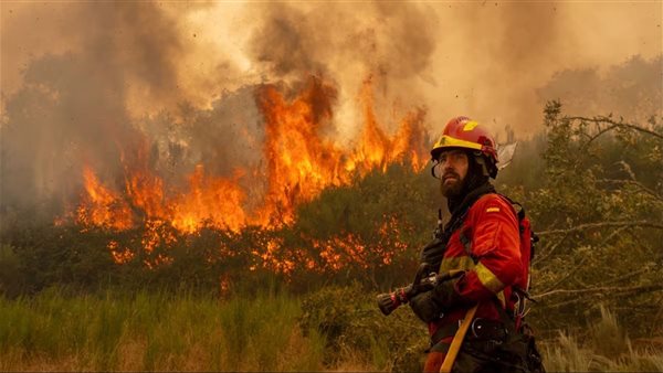 حرائق الغابات ـ تعبيرية