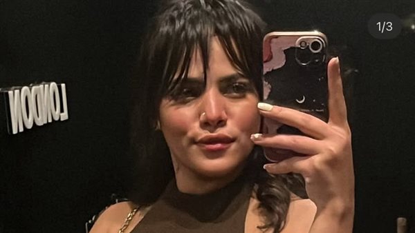 التيك توكر لي لي