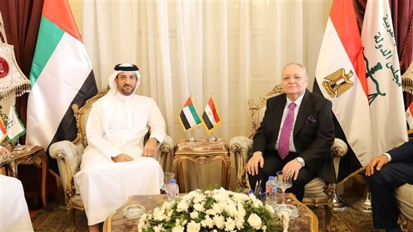 رئيس مجلس الدولة