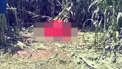 أمن سوهاج يكثف جهوده لكشف لغز العثور على جثة شاب في الزراعات بناحية المنشأة