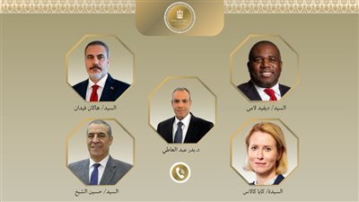 وزير الخارجية يعلن تقدم مهم في مفاوضات وقف إطلاق النار بغزة.. ويؤكد: الكرة الآن بملعب إسرائيل