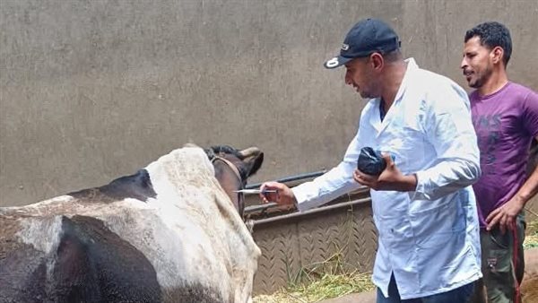 بيطرى دمياط بطلق