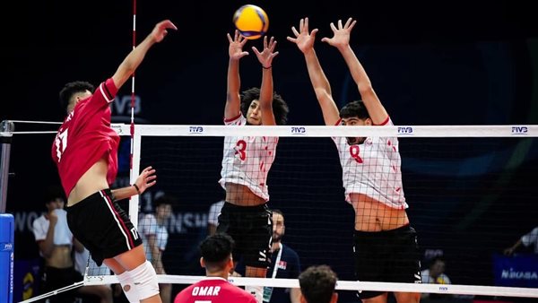 كرة الطائرة