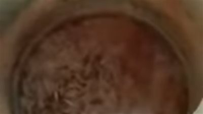 ضبط مصنع عشوائي لإنتاج السردين الفاسد يهدد صحة المواطنين ببني سويف