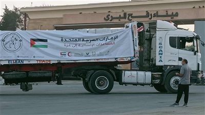 تمهيدا لدخولها قطاع غزة.. عبور 19 شاحنة مساعدات إماراتية معبر رفح