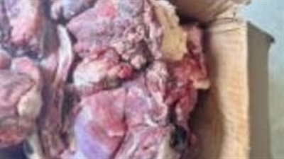 ضبط ثلاجة غير مرخصة بالعبور بداخلها أكثر من 121 طن لحوم فاسدة