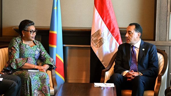 رئيس الوزراء يلتقى