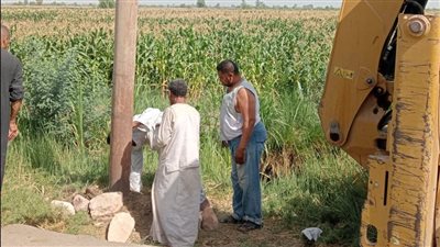 إعادة تثبيت الأعمدة الكهربائية المائلة في قرية النجوع بإسنا حفاظًا على حياة المواطنين