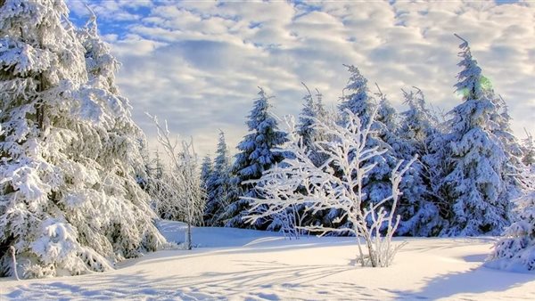 متى يبدأ فصل الشتاء