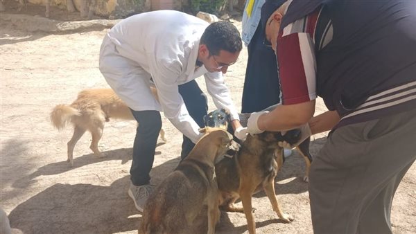 جانب من أعمال التطعيم