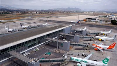 طائر ضخم يعطّل حركة الطيران في مطار مالقا الإسباني