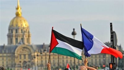 نائبة فرنسية تزور معتقلين مؤيدين للفلسطينيين بعد احتجاجاتهم خلال حفل فرقة إسرائيلية وتطالب بالإفراج عنهم
