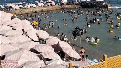 مفاجأة في واقعة أبو تلات بالإسكندرية.. هاني راشد أحد الناجين: راية التحذير الحمراء ظهرت بعد الحادث